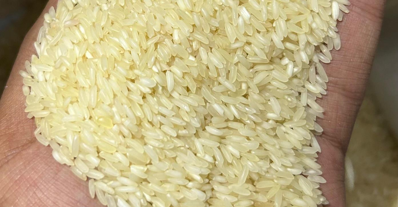 Katarni Steam Rice